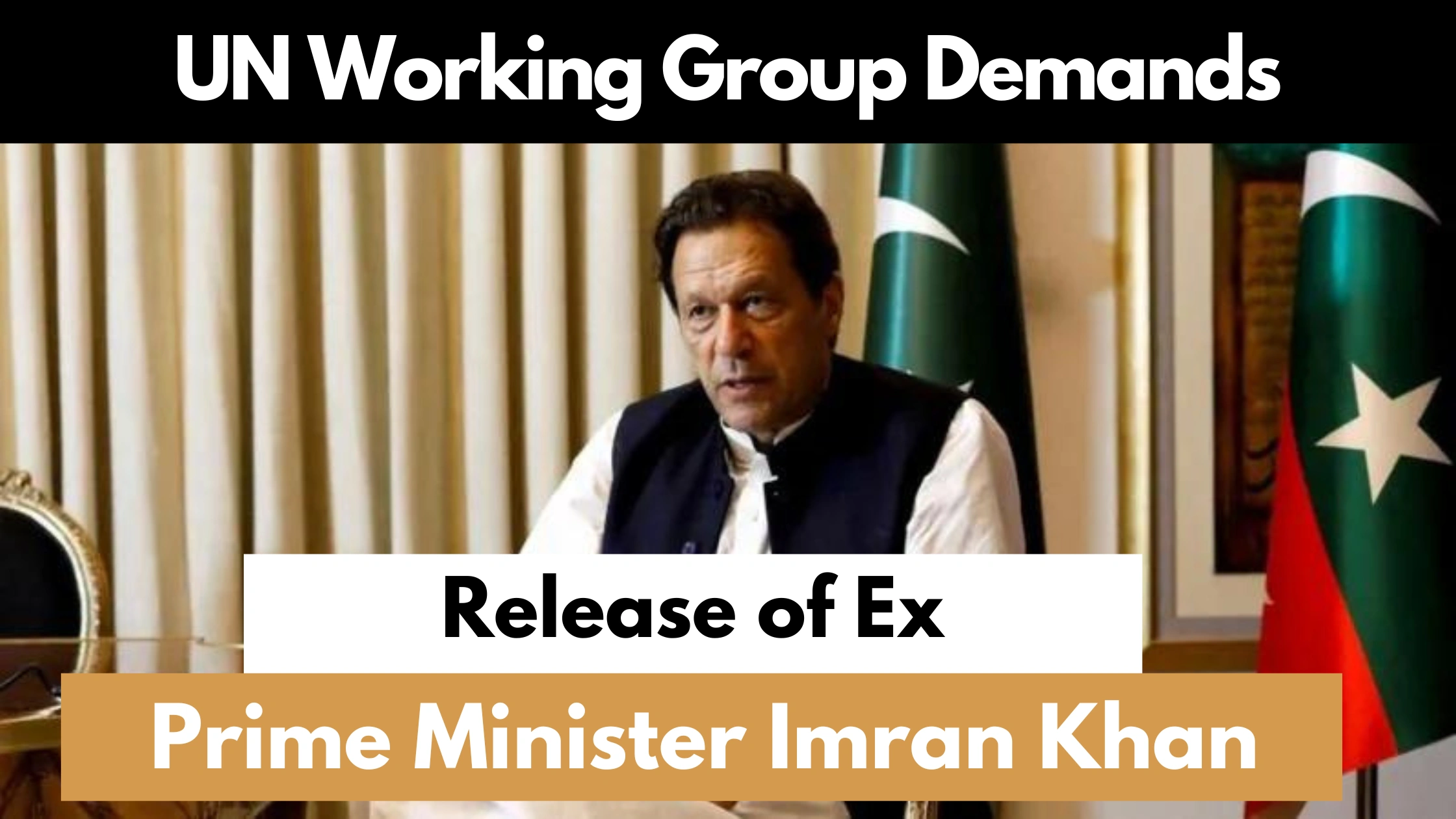 UN-Working-Group-demands-Release-of-Ex-Prime-Minister-Imran-khan